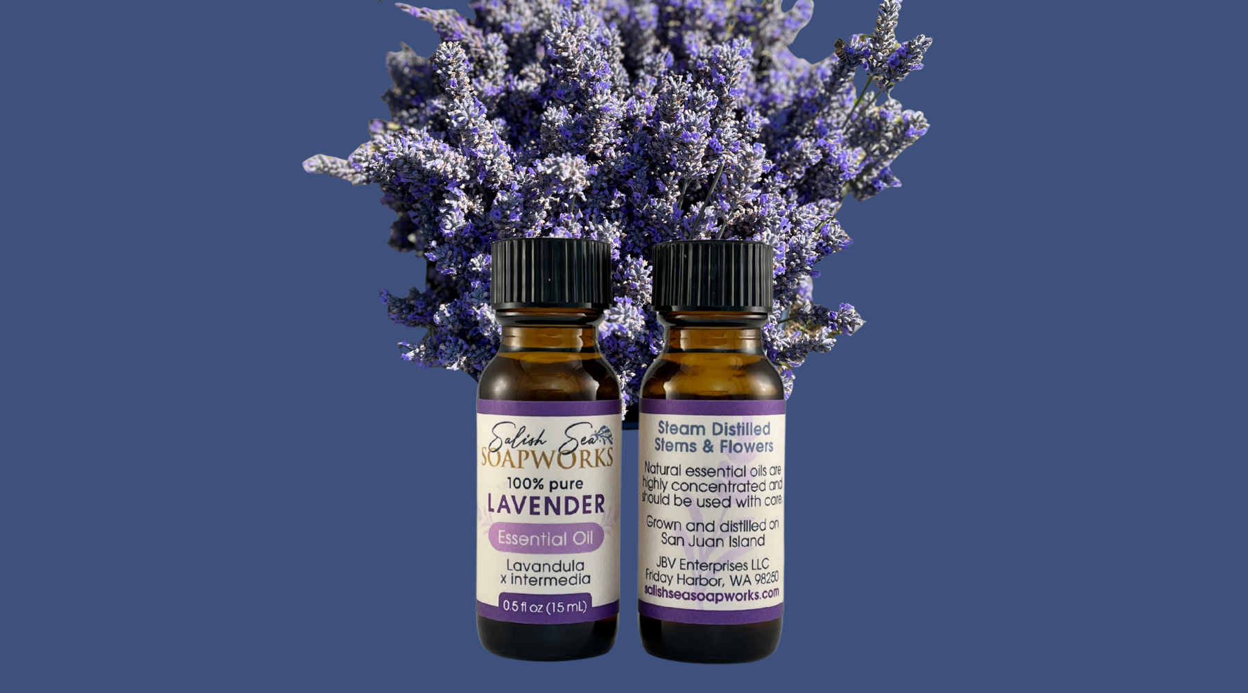 Lavender flowers